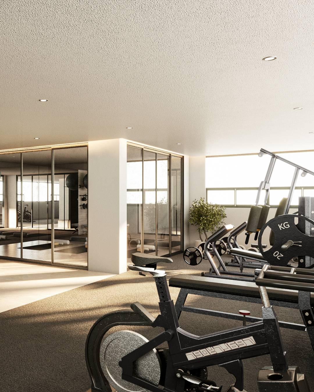 Gimnasio